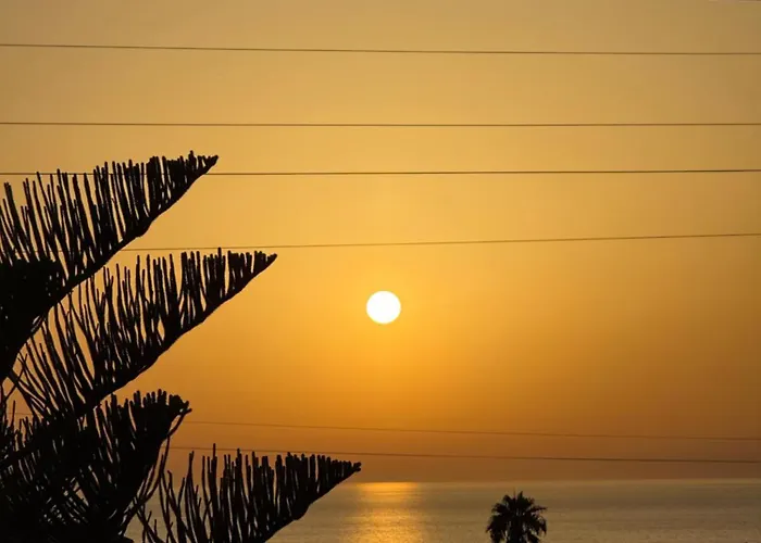 Villa Bellavista Willa Belvedere Marittimo